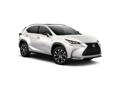 Защита бампера Lexus NX-200 2014-2017