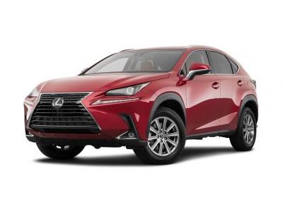 Защита бампера Lexus NX-200t 2014-2017