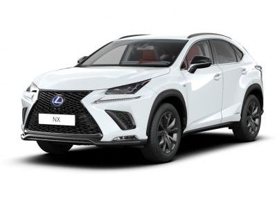 Защита бампера Lexus NX-300h 2014-2017