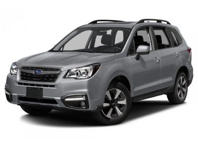 Защита бампера Subaru Forester 2013-2016