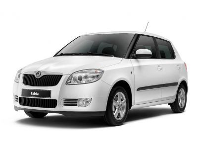 Защита картера Skoda Fabia