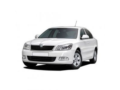 Защита картера Skoda Octavia