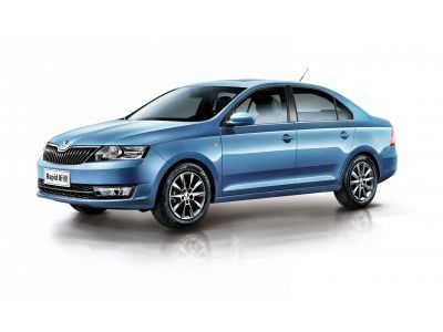Защита картера Skoda Rapid