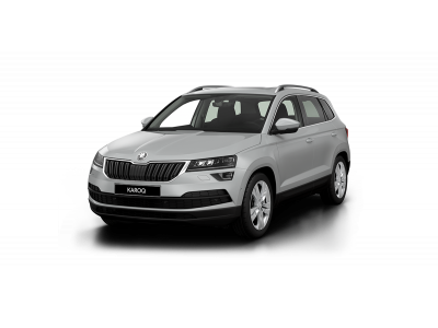 Защита радиатора Skoda Karoq