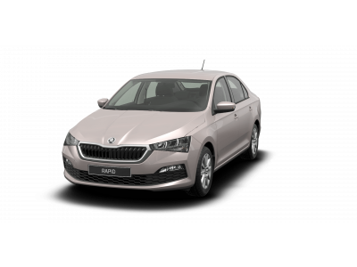 Брызговики Skoda Rapid 2020-