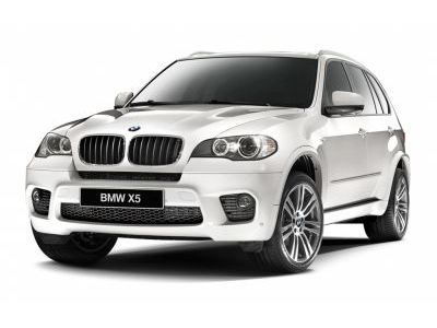 Пороги BMW X5 2006-2013