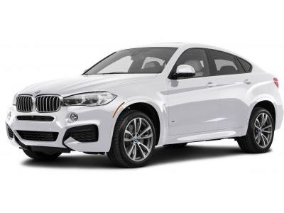 Пороги BMW X6 2014-