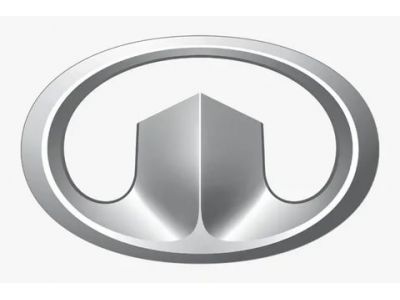 Рейлинги Great Wall