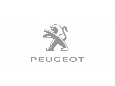 Рейлинги Peugeot