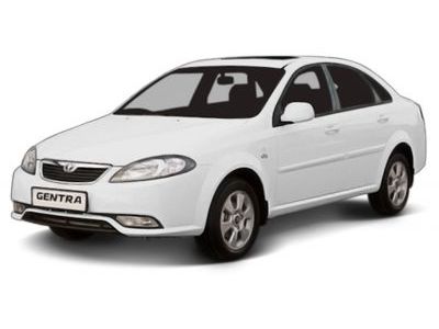 Коврики Салона Ravon Gentra 2015-