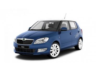 Коврики Салона Skoda Fabia