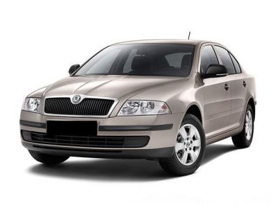 Дефлекторы капота и окон ( ветровики) Skoda Octavia A5 2004-2013