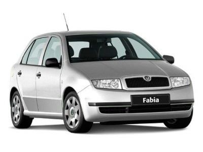 Дефлекторы капота и окон ( ветровики) Skoda Fabia