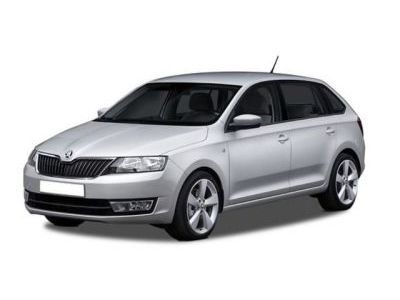 Дефлекторы капота и окон ( ветровики) Skoda Rapid