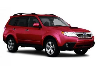 Защита радиатора Subaru Forester 2008-2013