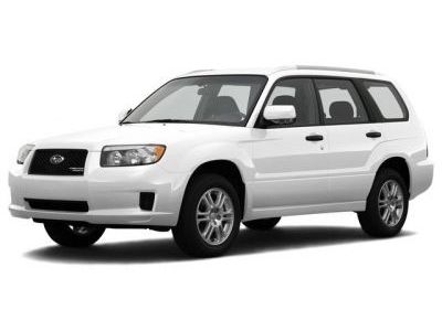 Амортизаторы капота Subaru Forester