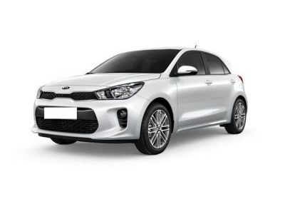 Защита радиатора Kia Rio