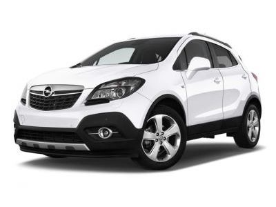 Защита радиатора Opel Mokka