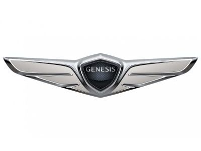 Защита бампера Genesis