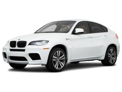 Защита радиатора BMW X6