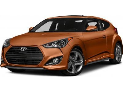 Защита радиатора Hyundai Veloster