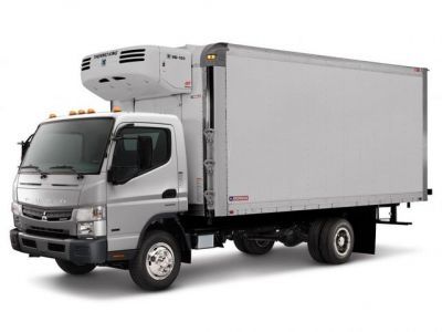 Защита радиатора Mitsubishi Fuso