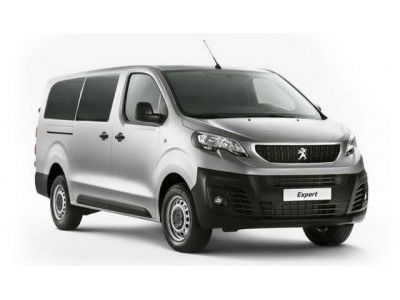 Брызговики Peugeot Expert