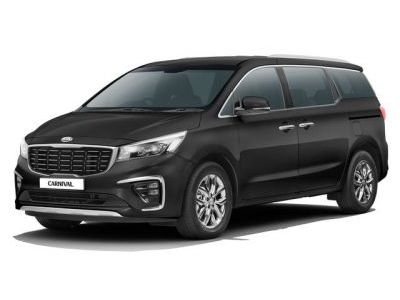 Амортизаторы капота Kia Carnival 2020-