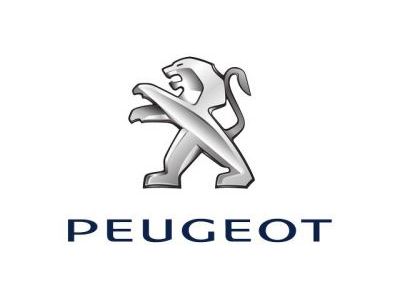 Багажники Peugeot