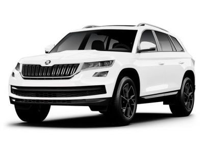 Защита радиатора Skoda Kodiaq