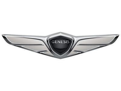 Багажники Genesis