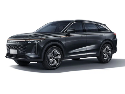 Брызговики Exeed RX