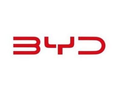Пороги BYD