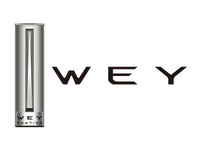 Защита картера WEY