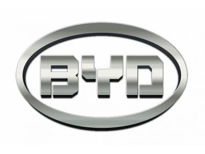 Коврики Салона BYD