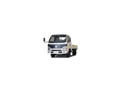 Foton BJ1049 2007-