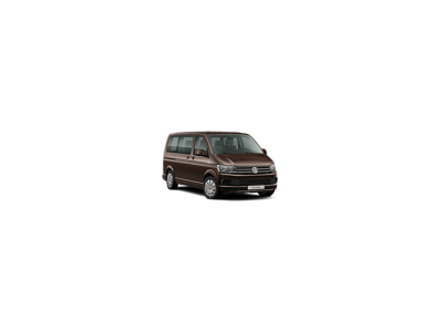 Пороги Volkswagen Caravelle 2015-