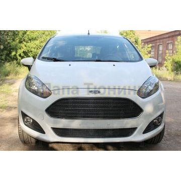 Защита радиатора Ford Fiesta MK6 (рестайлинг) 2015- black низ PREMIUM