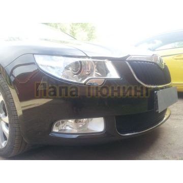 Защита радиатора Skoda Superb 2009-2013 black PREMIUM