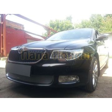 Защита радиатора Skoda Superb 2009-2013 chrome PREMIUM