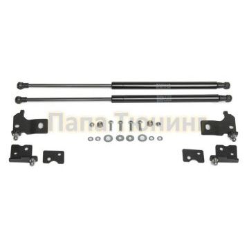 Амортизаторы капота, 2 шт. Rival для Chevrolet Malibu 2015-2018