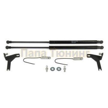 Амортизаторы капота, 2 шт. Rival для Ford Focus II / II рестайлинг 2005-2008 / 2008-2011