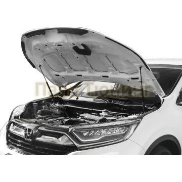 Амортизаторы капота, 2 шт. Rival для Honda CR-V V 2017-