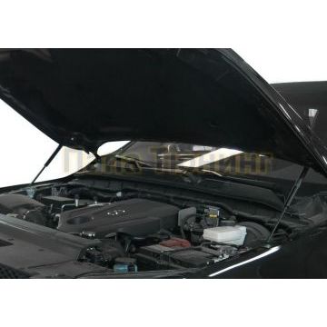 Амортизаторы капота, 2 шт. Rival для Mercedes-Benz X-Class I 2017-