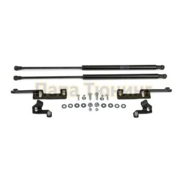 Амортизаторы капота, 2 шт. Rival для Toyota RAV4 III 2005-2010