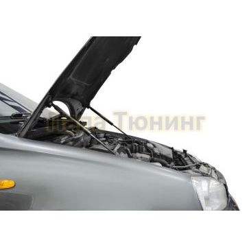 Амортизаторы капота, 2 шт. Rival для Lada Kalina I 2004-2013