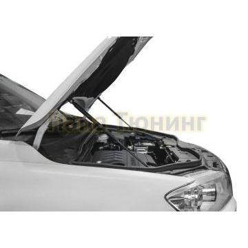 Амортизаторы капота, 2 шт. Rival для Haval H6 2014-