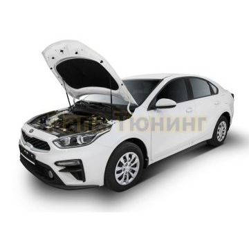 Амортизаторы капота, 2 шт. Rival для Kia Cerato IV 2018-