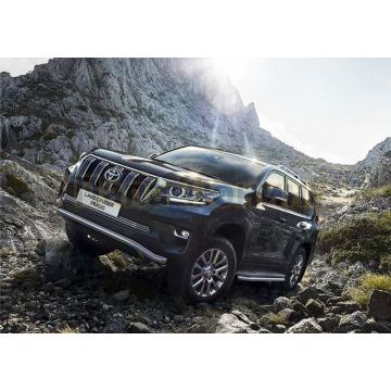 Решетка бампера d10 Rival для Toyota Land Cruiser 150 Prado, кроме Style и TRD 2017-