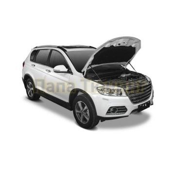 Амортизаторы капота, 2 шт. АвтоУпор для Haval H6 2014-
